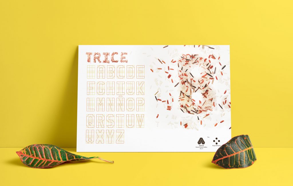 TRICE - una tipografía de arroz