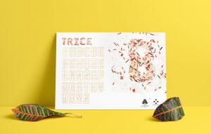 TRICE - una tipografía de arroz